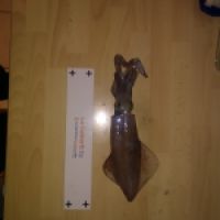 photo prise 5411 par Sty veun