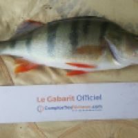 photo prise 5484 par Mr Perche 