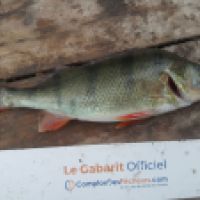 photo prise 5498 par Mr Perche 