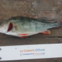 photo prise 5500 par Mr Perche 