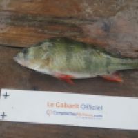 photo prise 5502 par Mr Perche 