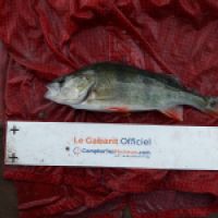 photo prise 5542 par Mr Perche 