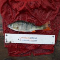 photo prise 5544 par Mr Perche 
