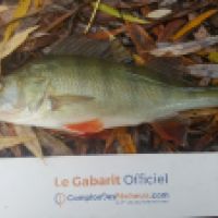 photo prise 5547 par Mr Perche 