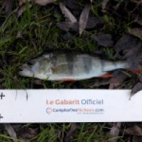 photo prise 5548 par Mr Perche 