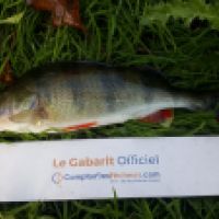 photo prise 5557 par Mr Perche 