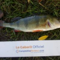 photo prise 5558 par Mr Perche 