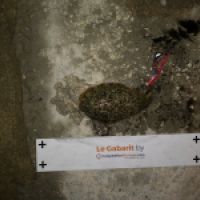 photo prise 5600 par Yano