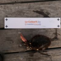 photo prise 5621 par Chrisfishing