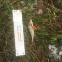 photo prise 5644 par guigui16