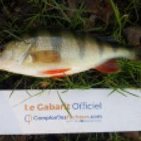 photo prise 5713 par Mr Perche 