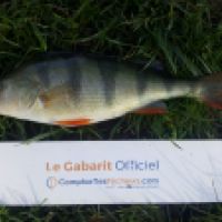 photo prise 5714 par Mr Perche 