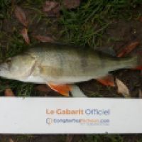 photo prise 5715 par Mr Perche 