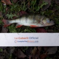 photo prise 5718 par Mr Perche 