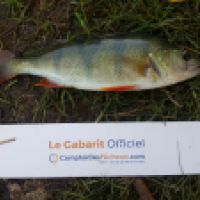 photo prise 5719 par Mr Perche 