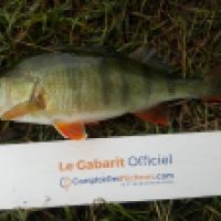 photo prise 5721 par Mr Perche 