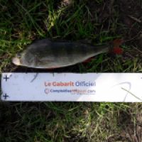 photo prise 5724 par Mr Perche 