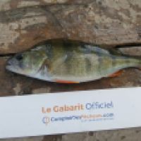 photo prise 5746 par Mr Perche 