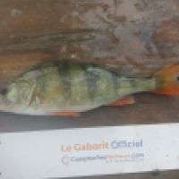 photo prise 5748 par Mr Perche 