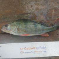 photo prise 5749 par Mr Perche 