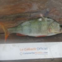 photo prise 5751 par Mr Perche 