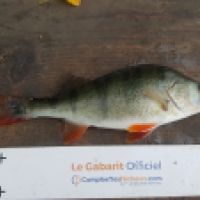 photo prise 5768 par Mr Perche 
