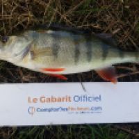 photo prise 5779 par Mr Perche 