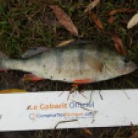 photo prise 5781 par Mr Perche 