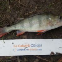 photo prise 5783 par Mr Perche 