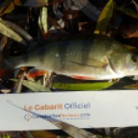 photo prise 5786 par Mr Perche 