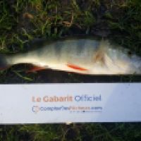 photo prise 5790 par Mr Perche 