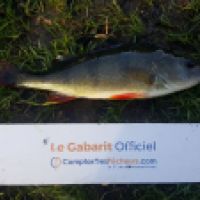 photo prise 5791 par Mr Perche 