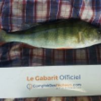 photo prise 5799 par Mr Perche 