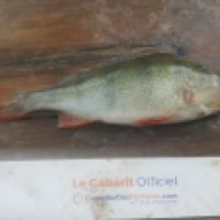 photo prise 5820 par Mr Perche 