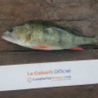 photo prise 5822 par Mr Perche 
