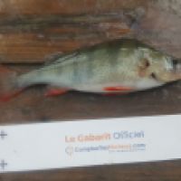 photo prise 5823 par Mr Perche 