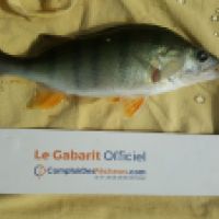 photo prise 5842 par Mr Perche 