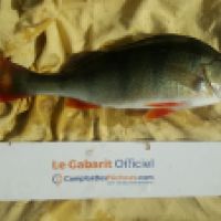 photo prise 5843 par Mr Perche 