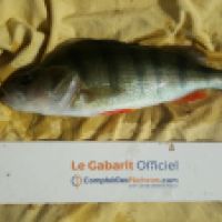 photo prise 5844 par Mr Perche 