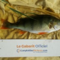 photo prise 5845 par Mr Perche 