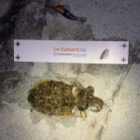 photo prise 5870 par Chrisfishing