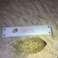 photo prise 5879 par Chrisfishing