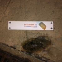 photo prise 5891 par sebastien.dutertre.eni