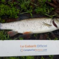 photo prise 6002 par Mr Perche 