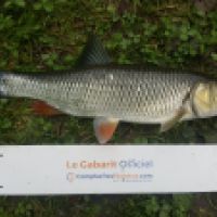photo prise 6003 par Mr Perche 