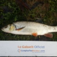 photo prise 6005 par Mr Perche 