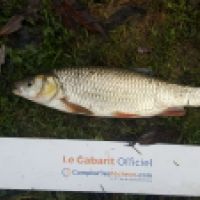 photo prise 6006 par Mr Perche 
