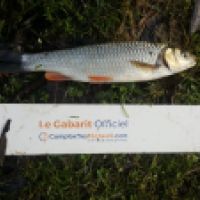 photo prise 6007 par Mr Perche 