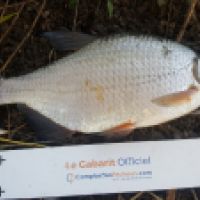 photo prise 6017 par Mr Perche 