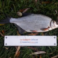 photo prise 6041 par Mr Perche 